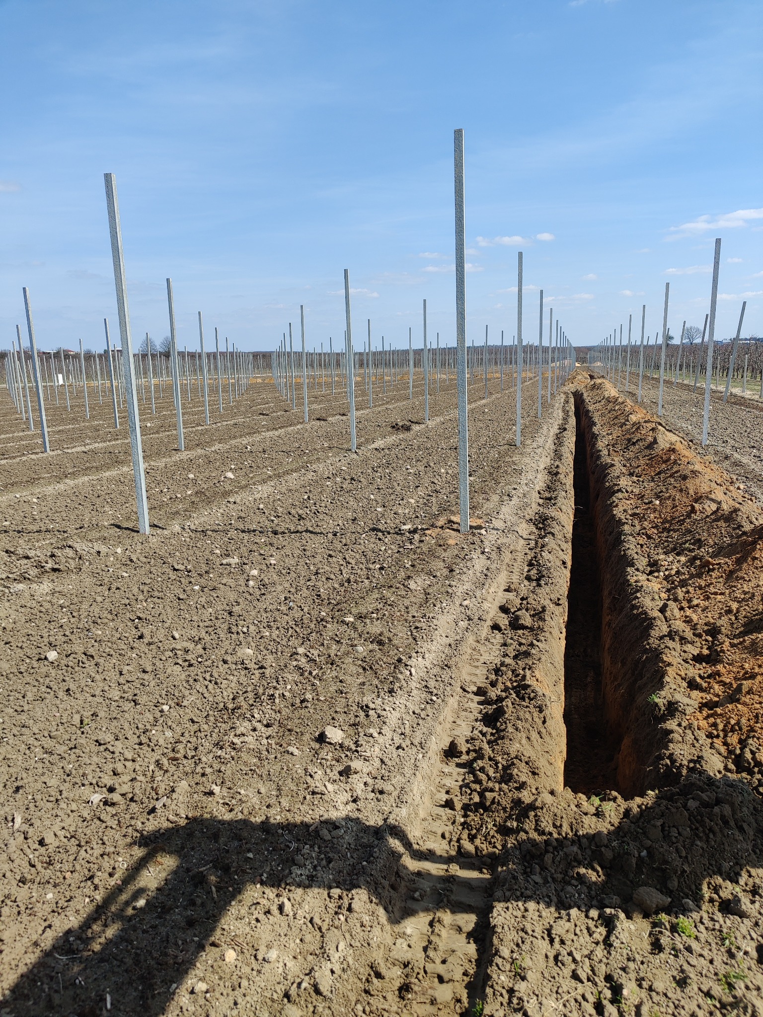 Długi, prosty wykop w ziemi, ustawione w rzędach metalowe słupki, błękitne niebo w tle.