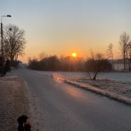 Interesuje mnie również oferta wyprowadzania piesków na spacery.