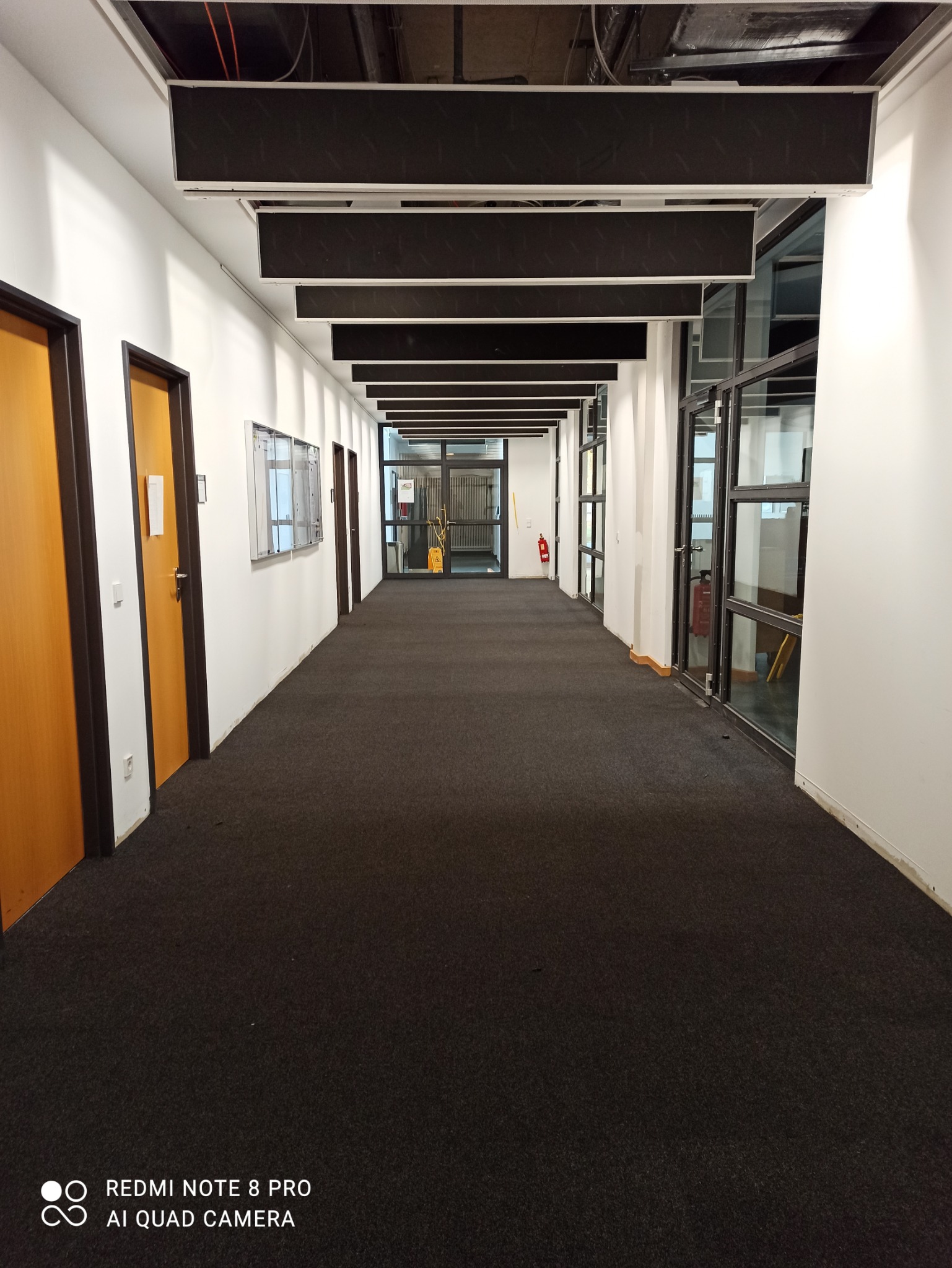 Długi korytarz biurowy z ciemną wykładziną dywanową, białymi ścianami, rzędem drzwi po lewej stronie i przeszklonymi ścianami po prawej, zakończony przeszklonymi drzwiami.