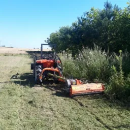 Pomarańczowy traktor z kosiarką bijakową AGL-125 kosi wysoką trawę na polu, widoczne ślady cięcia.