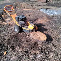 Pomarańczowa frezarka do pni drzew na nierównym terenie, obok świeżo ściętego pnia i sterty pociętego drewna w tle.