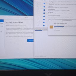 Pasek pionowy w Linux Mint 
Pani zależało na tym a Windows 11 nie ma.