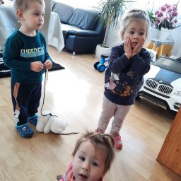 Wyprowadzanie psów Poznań 3