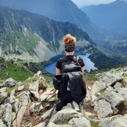 Wyprowadzanie psów Poznań 2