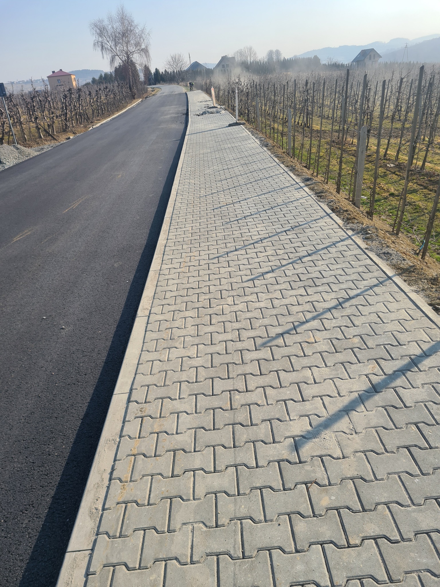 Nowo ułożona szara kostka brukowa w kształcie litery 'I' tworząca chodnik obok świeżo wyasfaltowanej drogi, w tle widoczne nagie drzewa i budynki w oddali pod błękitnym niebem.