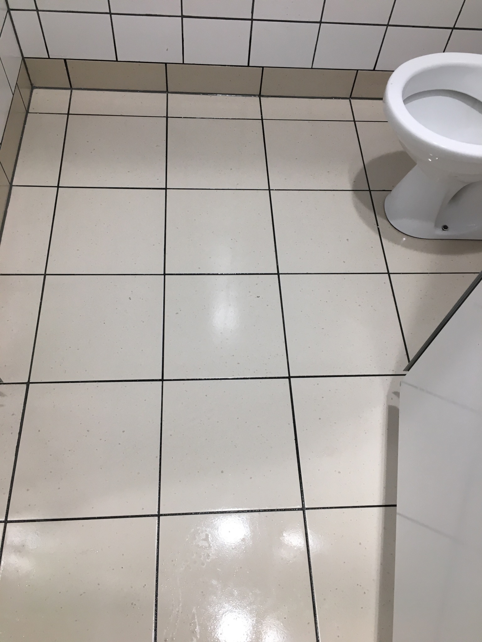 Jasne, kwadratowe płytki podłogowe w toalecie z widoczną muszlą klozetową i fragmentem szafki, wyczyszczone, ale z drobnymi zabrudzeniami w fugach.