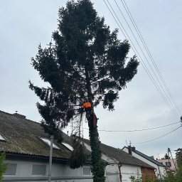 Pielęgnacja ogrodów Rosnówko 1