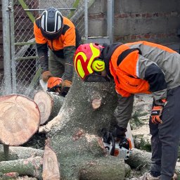 Pielęgnacja ogrodów Rosnówko 3