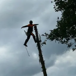 Arborysta w kasku i kombinezonie, z piłą łańcuchową, stoi na ogołoconym pniu drzewa na tle pochmurnego nieba, rozkładając ręce dla równowagi.