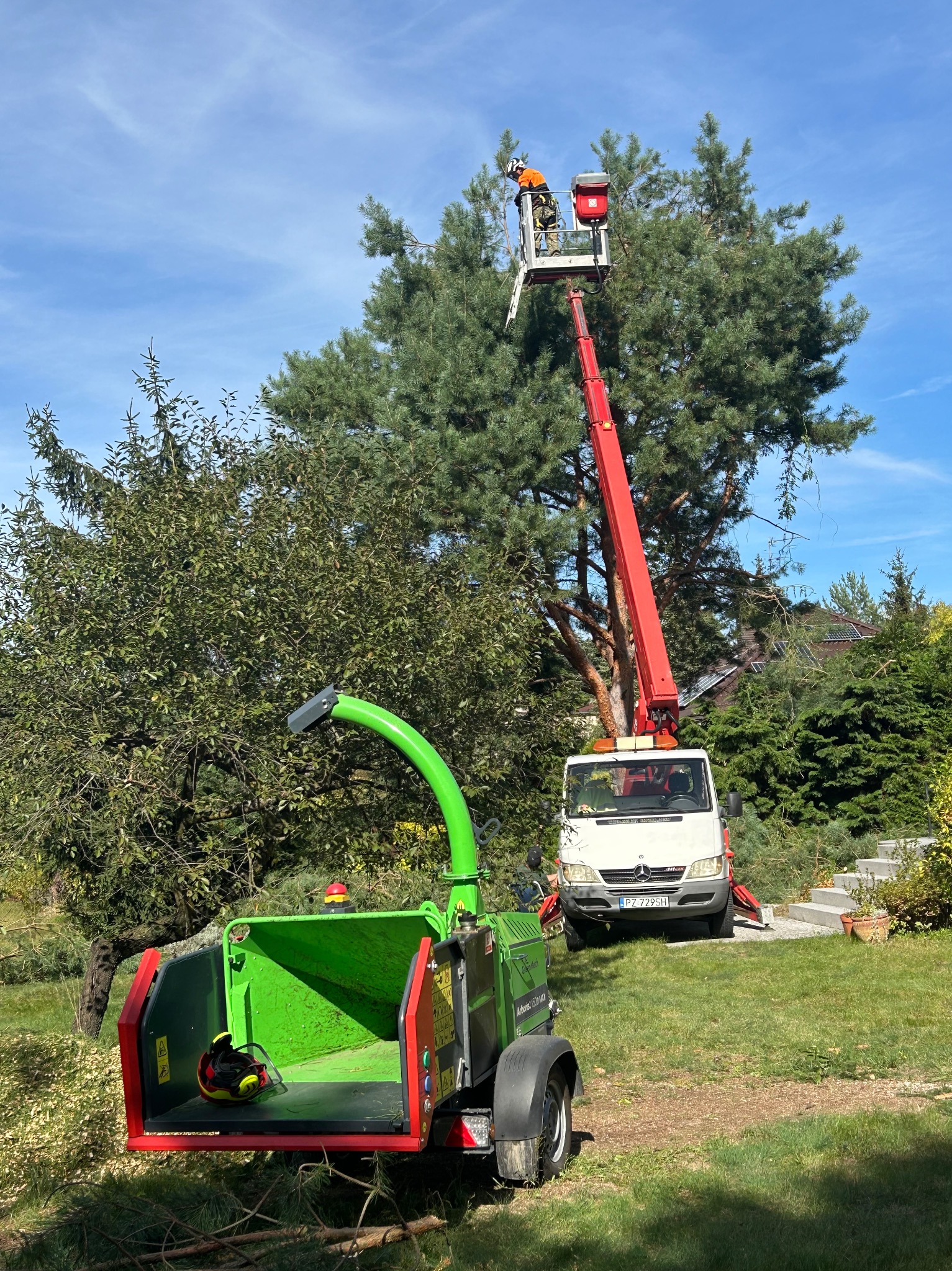Pracownik na podnośniku koszowym przycina wysokie drzewo. Obok stoi rozdrabniacz gałęzi i samochód dostawczy. Błękitne niebo w tle.