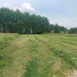 Uslugi ogrodzenia ,wycinka , ogrody - Solidna Firma Brukarska w Mrągowie