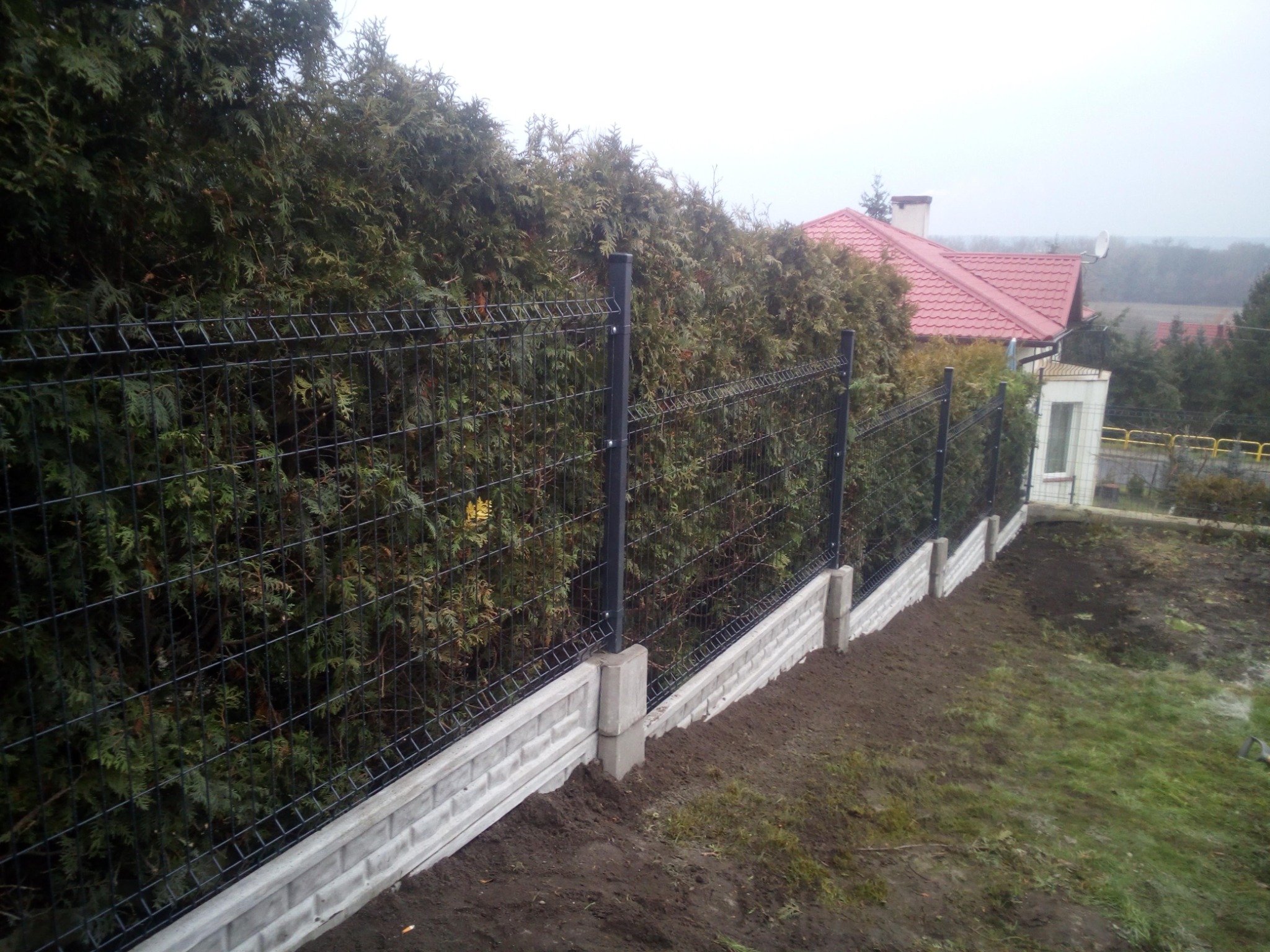 Czarny panelowy płot z podmurówką z betonu łupanego, oddzielający posesję od wysokich tuj. W tle dom z czerwonym dachem w pochmurny dzień.