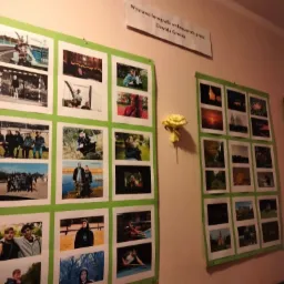 Wystawa fotografii na ścianie, prezentująca zdjęcia portretowe, krajobrazowe i sceny z życia codziennego, autorstwa Dawida Grosza, z żółtą różą jako dekoracją.