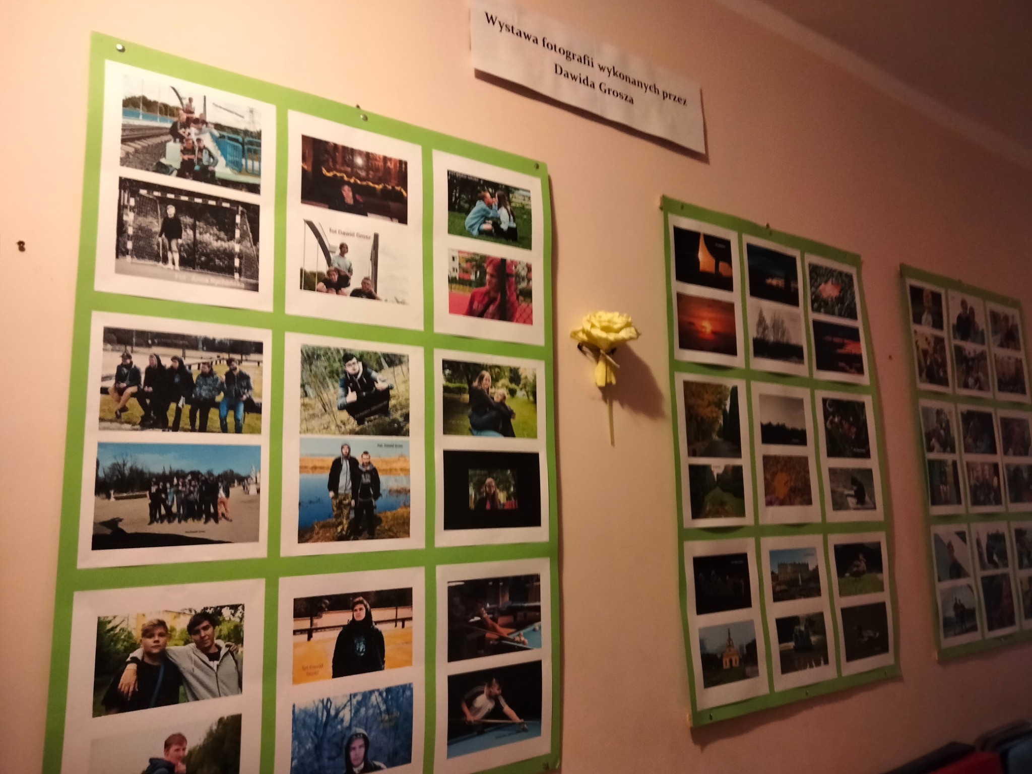 Wystawa fotografii na ścianie, prezentująca zdjęcia portretowe, krajobrazowe i sceny z życia codziennego, autorstwa Dawida Grosza, z żółtą różą jako dekoracją.