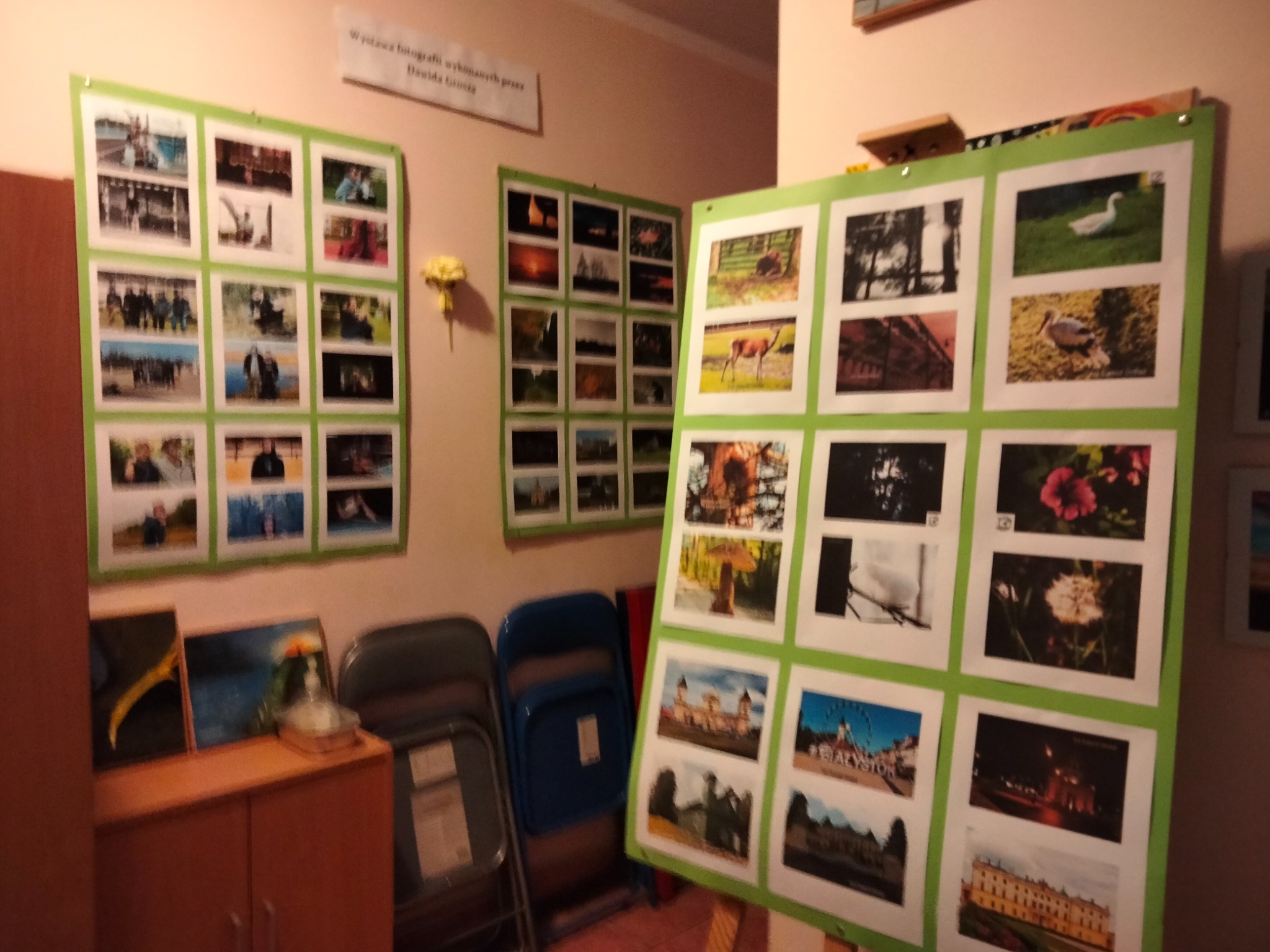 Wystawa fotografii amatorskiej: plansze z kolekcją zdjęć krajobrazów, zwierząt i architektury, prezentowane na ścianie w pomieszczeniu.