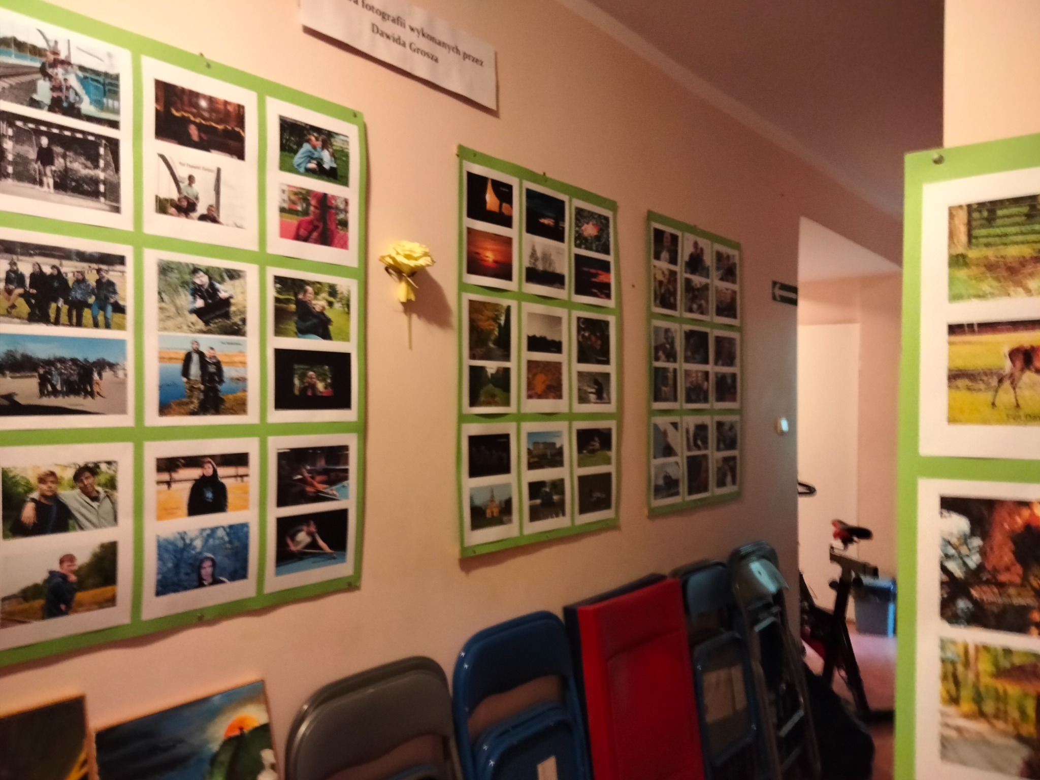 Wystawa fotografii z ramkami w kolorze zielonym, prezentująca różnorodne ujęcia, od portretów po krajobrazy, umieszczona na ścianie w galerii, z krzesłami w tle.