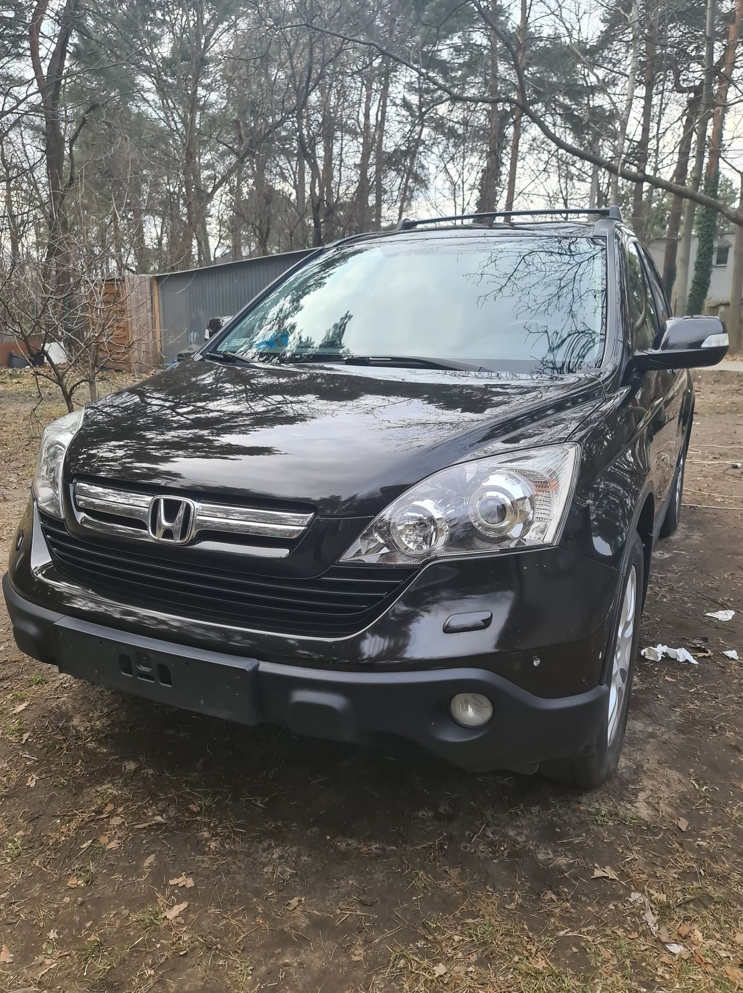 Czarny samochód Honda CR-V zaparkowany na ziemi z liśćmi, widok z przodu, zarys drzew w tle.