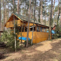 VANDALBUD - Drewniany domek letniskowy z zielonym dachem, otoczony sosnowym lasem, z widoczną konstrukcją balkonu i niebieską łódką opartą o ścianę.