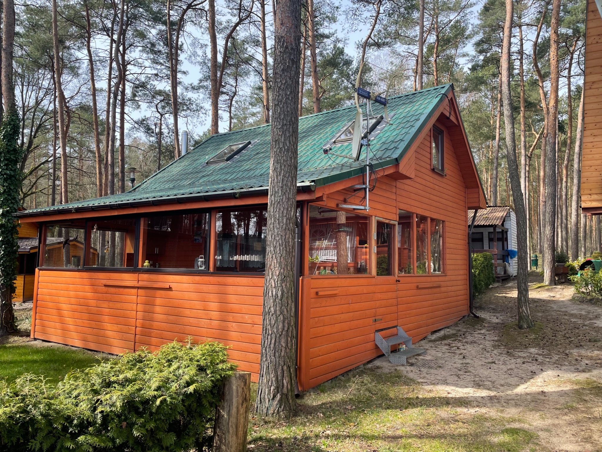 Pomarańczowy domek letniskowy z zielonym dachem na skraju lasu, widoczne okna, antena satelitarna i schodki wejściowe