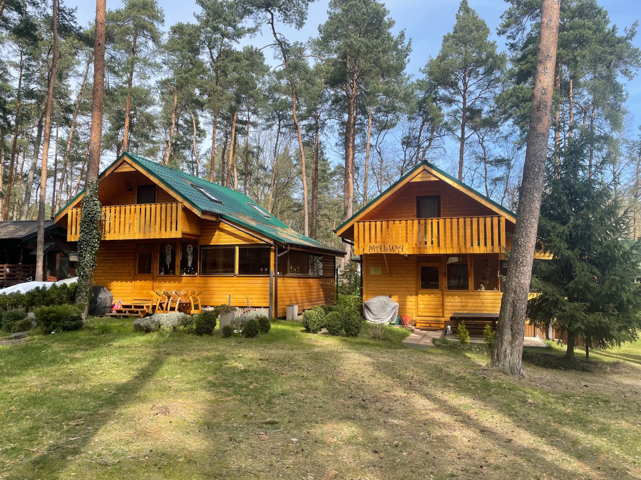 Dwa drewniane domki letniskowe z balkonami, pomalowane na żółto-brązowy kolor, z zielonymi dachami, otoczone wysokimi sosnami i trawnikiem.
