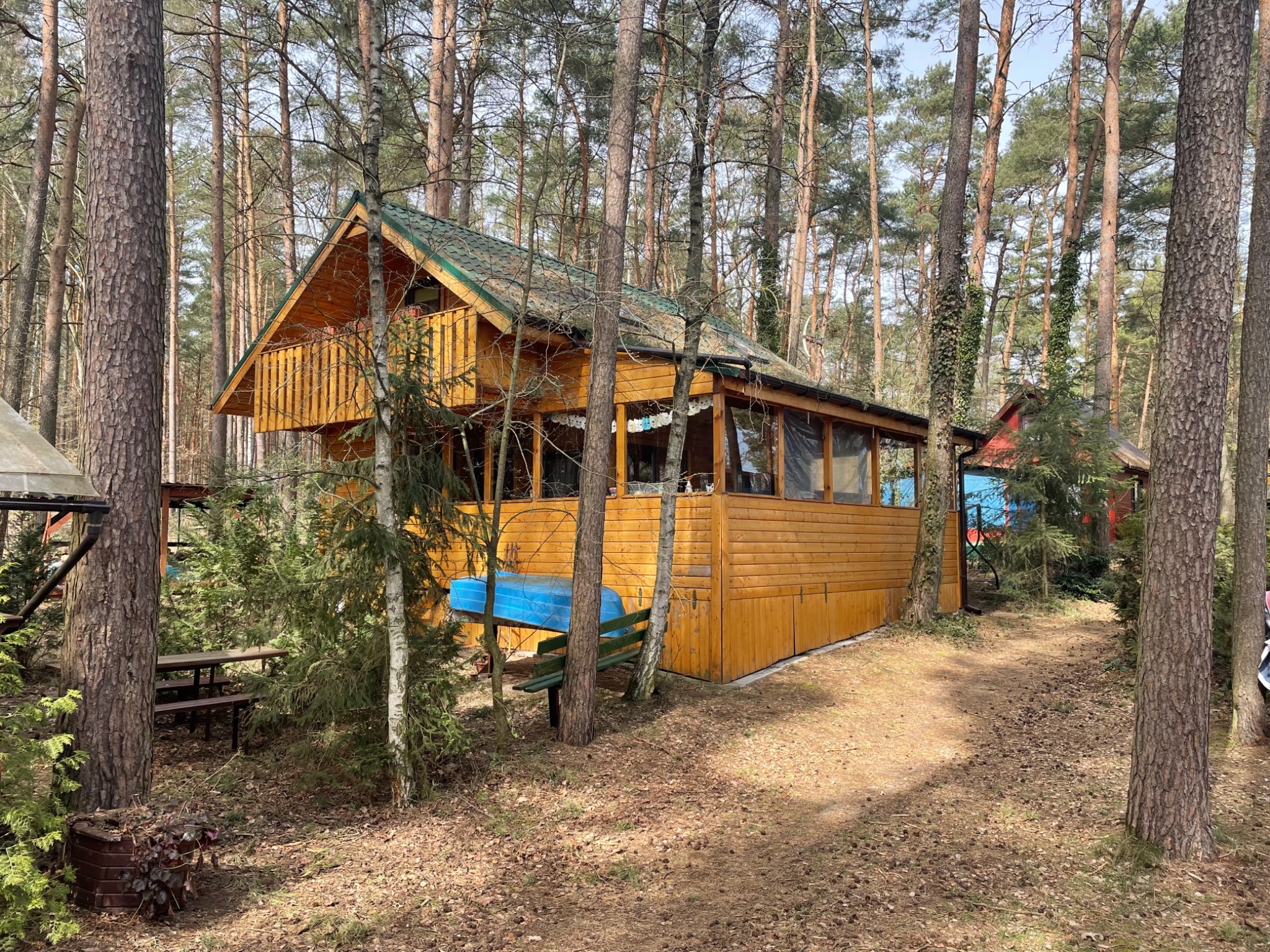 Drewniany domek letniskowy z zielonym dachem, otoczony sosnowym lasem, z widoczną konstrukcją balkonu i niebieską łódką opartą o ścianę.