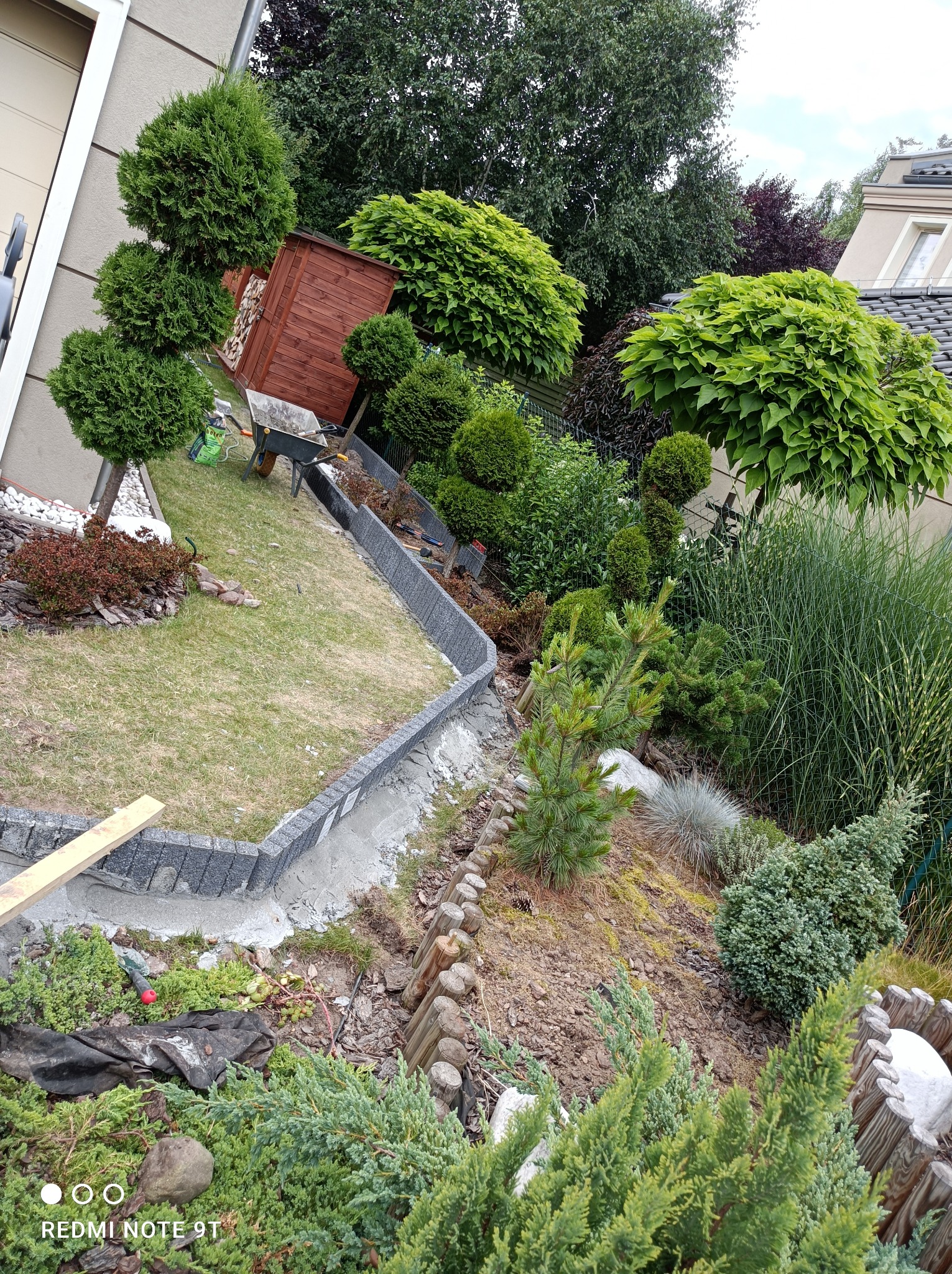 Krawężnik z kostki granitowej na zaprawie cementowej wyznaczający granicę trawnika i rabaty z iglakami oraz drzewami liściastymi, widoczny domek narzędziowy i taczka.