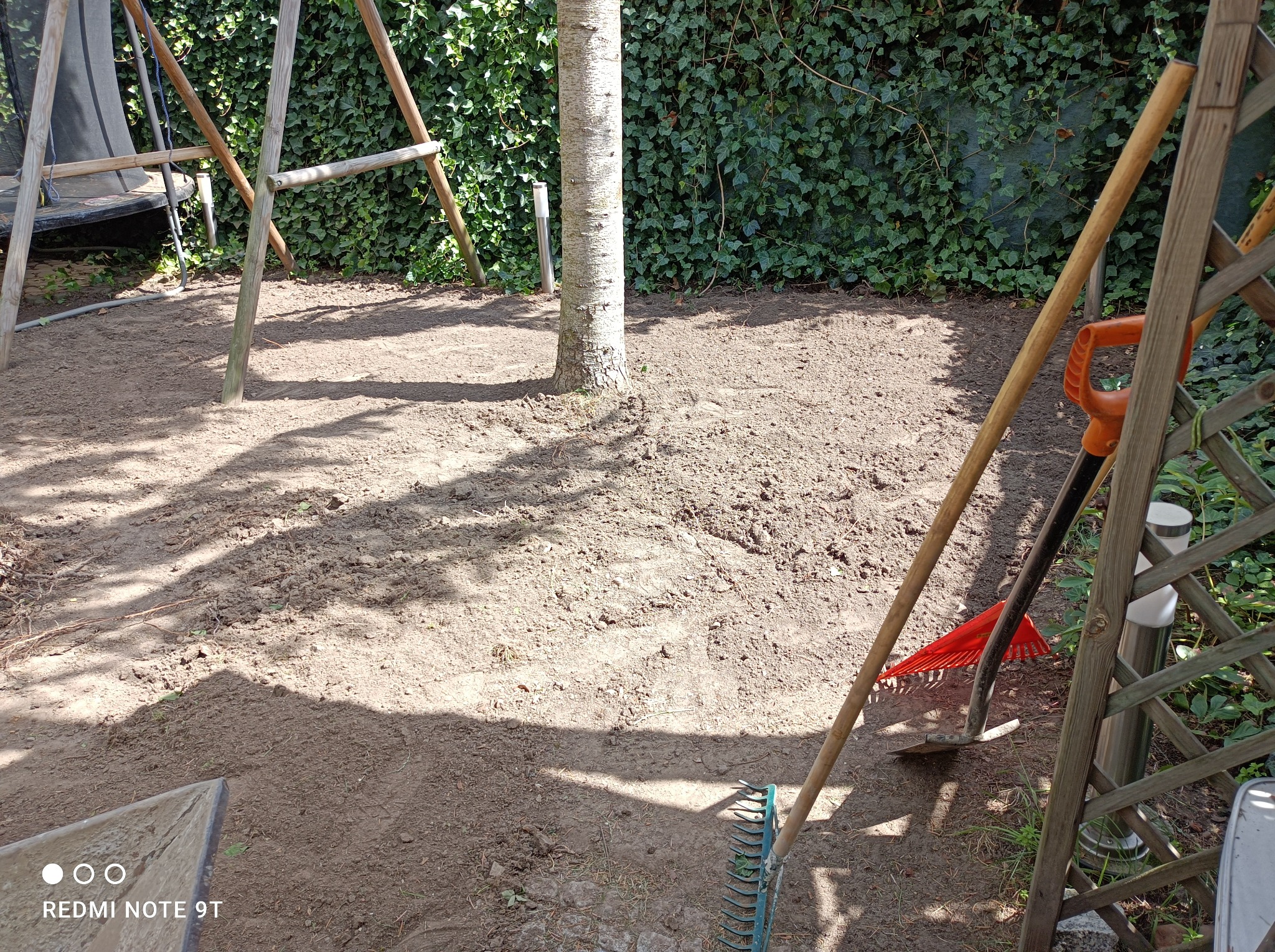 Przygotowany teren pod trawnik z widocznym drzewem pośrodku, narzędziami ogrodniczymi (grabie, łopata) i konstrukcją huśtawki w tle, otoczony zielonym bluszczem.