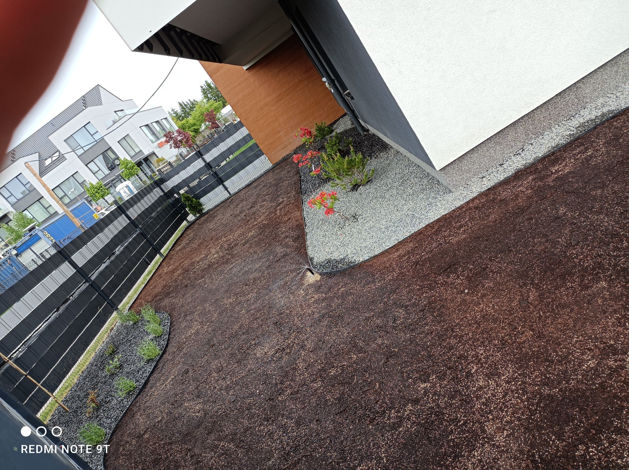 Świeżo założony trawnik z brązową korą, obok nowoczesnego domu z szarą elewacją, czarnym ogrodzeniem i rabatami z kamykami oraz zielenią.