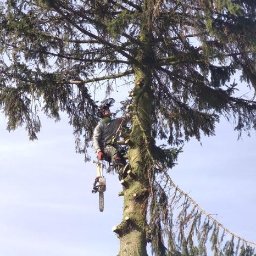 ArboWell Wycinka i Pielęgnacja Drzew Łukasz Wylegała - Świetna Pielęgnacja Ogrodów Poznań