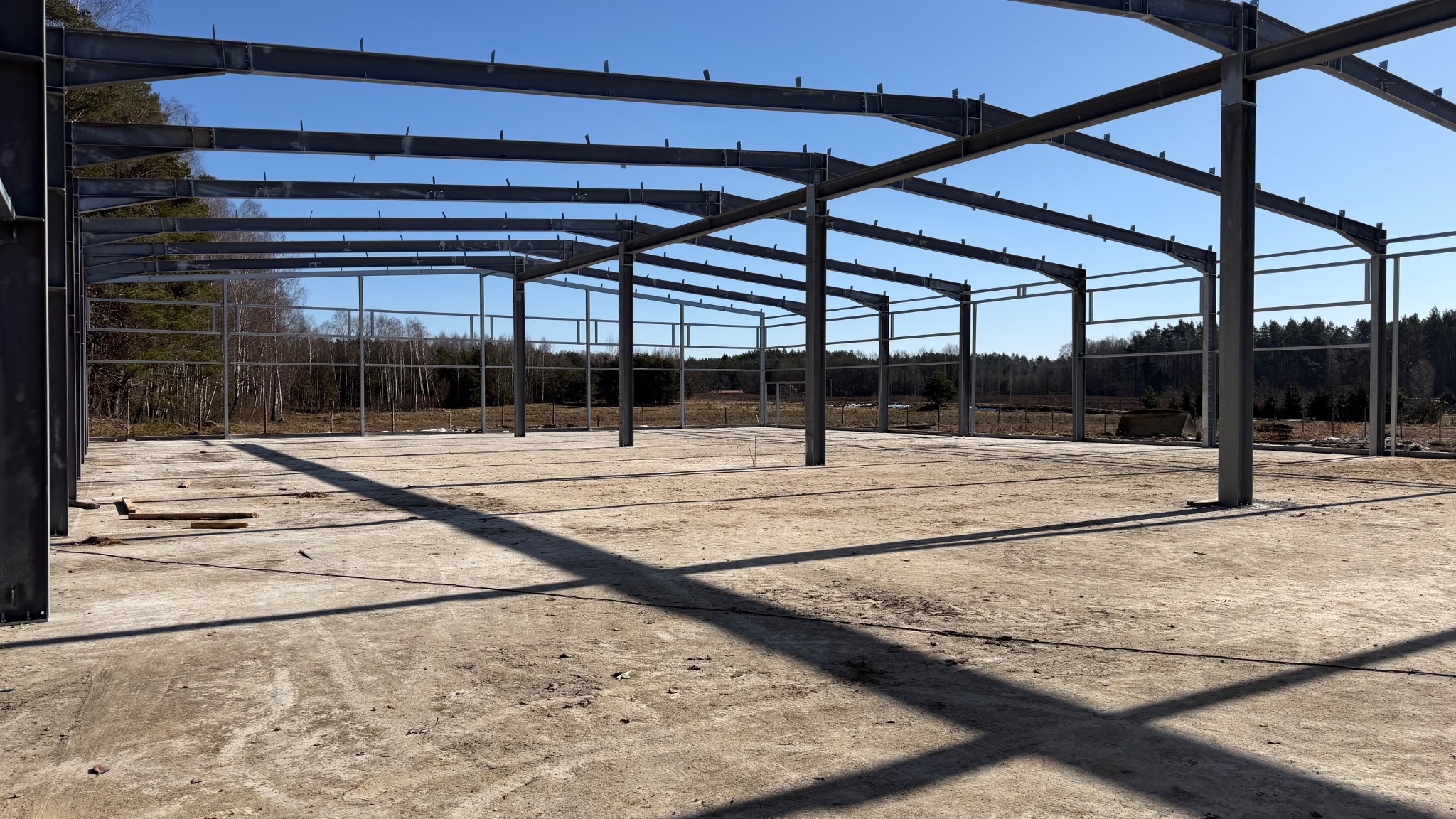 Stalowa konstrukcja hali w trakcie budowy, widok wnętrza z betonową posadzką i lasem w tle pod błękitnym niebem. Elementy konstrukcyjne połączone śrubami.