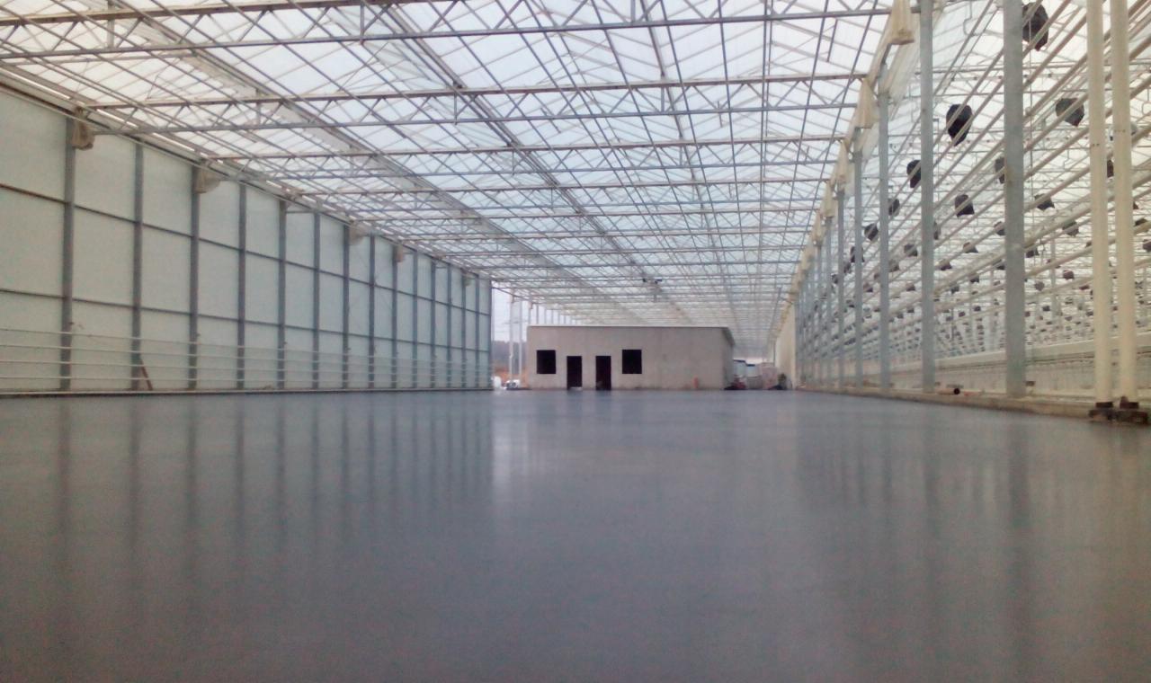 Błyszcząca, szara posadzka przemysłowa wewnątrz szklarni z metalową konstrukcją i białymi ścianami bocznymi. W tle widoczny budynek z otworami okiennymi.