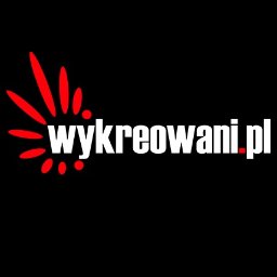 ROBERT Z WYKREOWANI.PL - Optymalizacja Stron Łódź