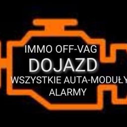 Mobilna elektromechanika-diagnostyka aut immo, alarmy pn-nd - Elektronik Samochodowy Gdynia