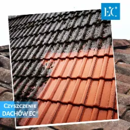 Częściowo oczyszczony dach z czerwonej dachówki, z widocznym porostem mchu i brudu po lewej stronie, kontrastujący z czystą, mokrą powierzchnią po prawej. W tle widoczne kolejne fragmenty dachu.