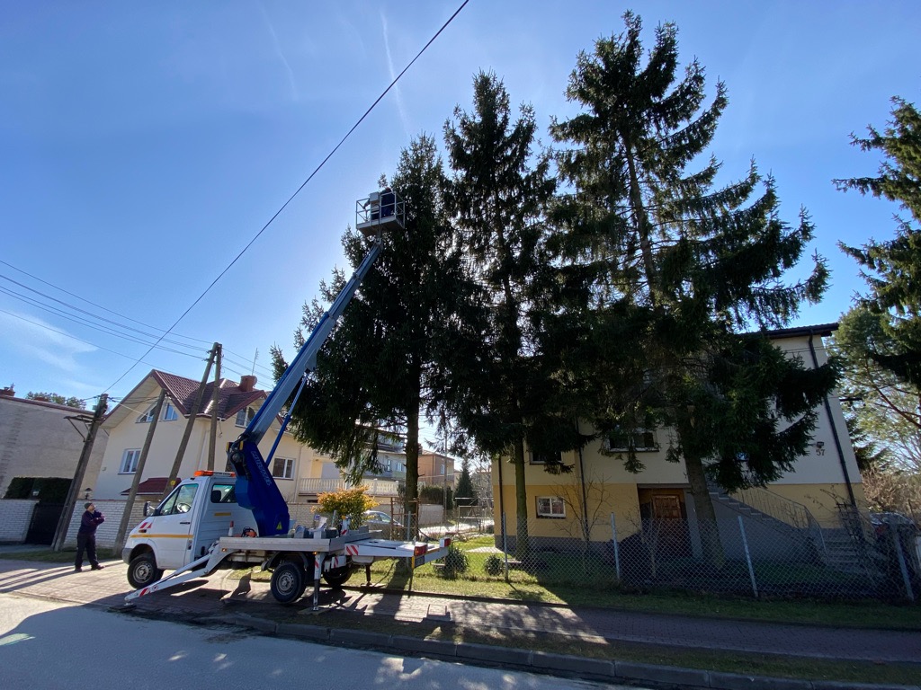 Podnośnik koszowy na ulicy podczas słonecznego dnia, z osobą w koszu na wysokości drzew, sugerując prace pielęgnacyjne lub wycinkę gałęzi, z budynkami w tle.
