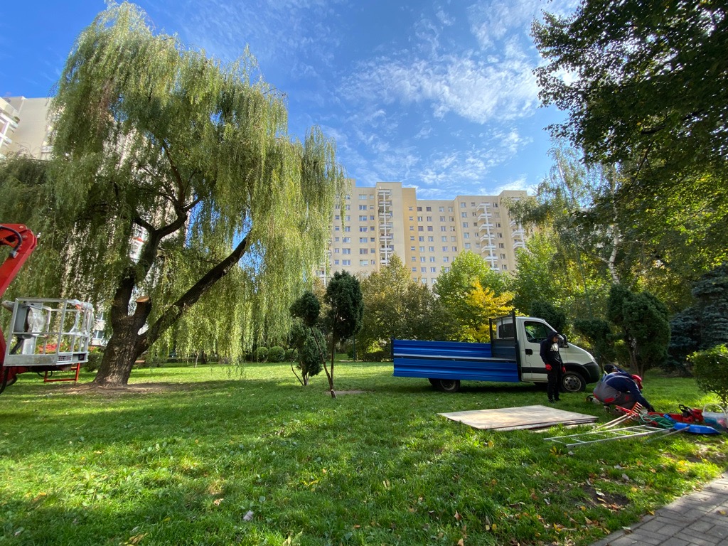 Krajobraz miejski z wierzbą płaczącą po cięciu, widoczny podnośnik koszowy, pracownicy przy ciężarówce z niebieską skrzynią ładunkową, budynek mieszkalny w tle, błękitne niebo z chmurami.