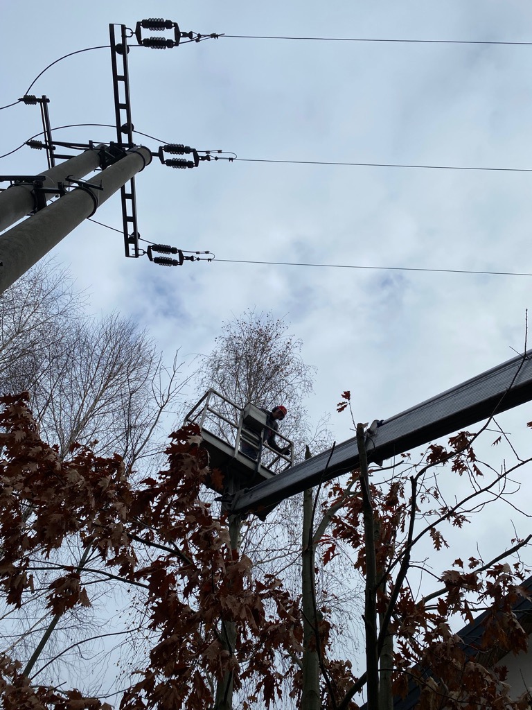 Pracownik w podnośniku koszowym, w kasku ochronnym, przycina gałęzie drzewa w pobliżu linii wysokiego napięcia, widok z dołu na tle pochmurnego nieba.