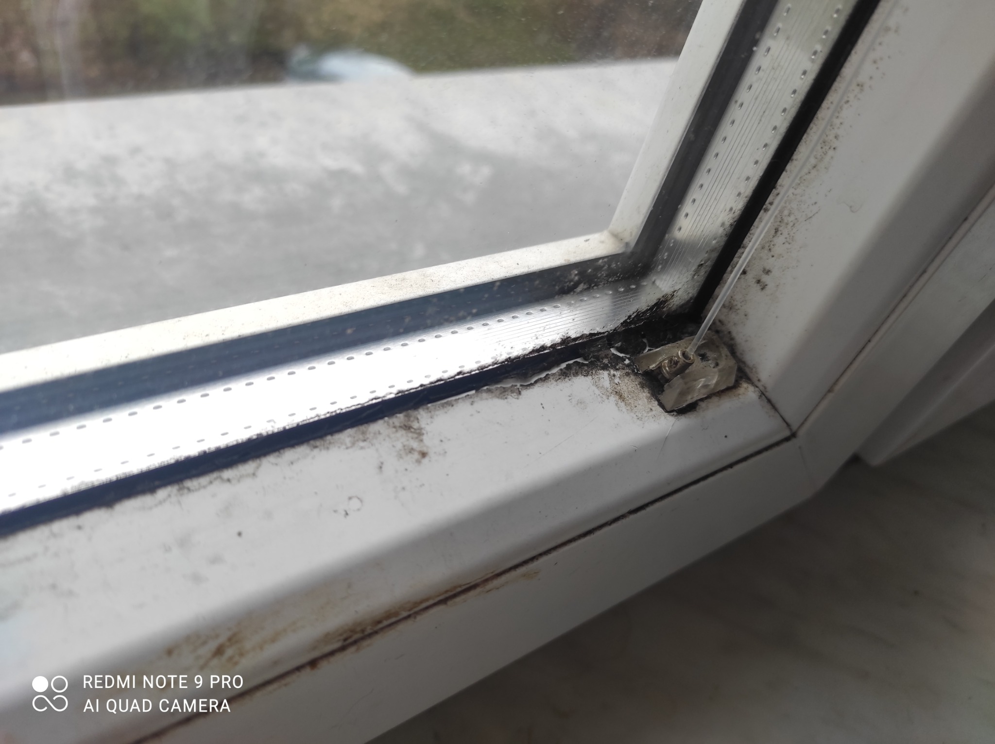 Detail zabrudzonego okna PCV z widocznymi śladami pleśni i brudu w narożnikach i na uszczelkach.