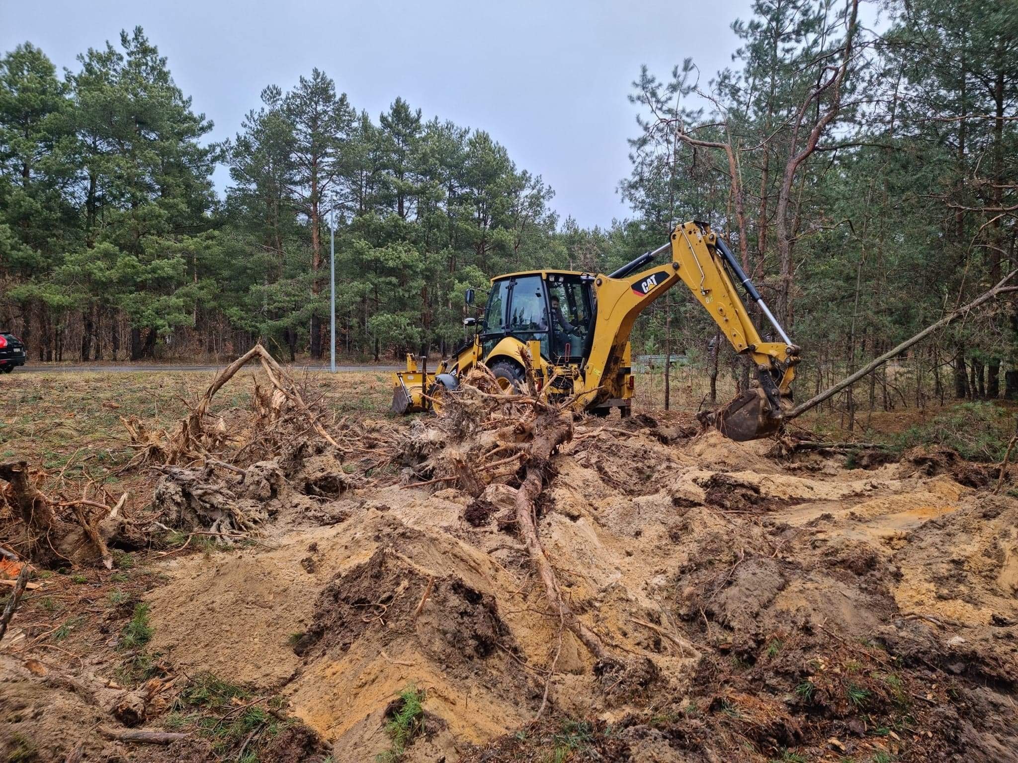 Żółta koparko-ładowarka CAT usuwa korzenie i pnie drzew na zalesionym terenie, przygotowując grunt pod budowę.