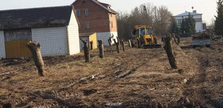 Teren po wycince drzew z pozostawionymi pniami, traktor i przyczepa w tle, budynki gospodarcze i dom mieszkalny w oddali.