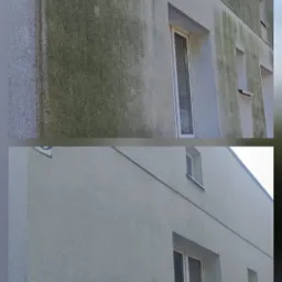 Zdjęcie elewacji budynku przed i po czyszczeniu, ukazujące znaczną różnicę w wyglądzie. Zielone zabrudzenia usunięte, odsłaniając czystą, jasną powierzchnię.