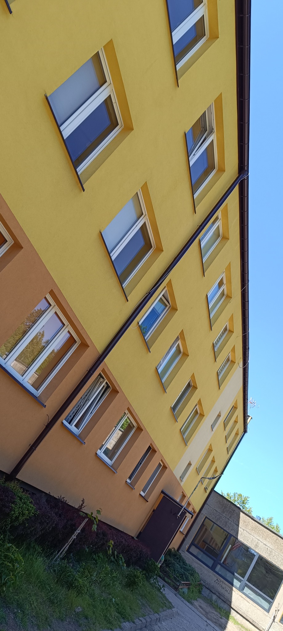Żółto-brązowa elewacja bloku mieszkalnego z białymi oknami, sfotografowana pod kątem, z widocznym fragmentem nieba i zieleni u dołu kadru.