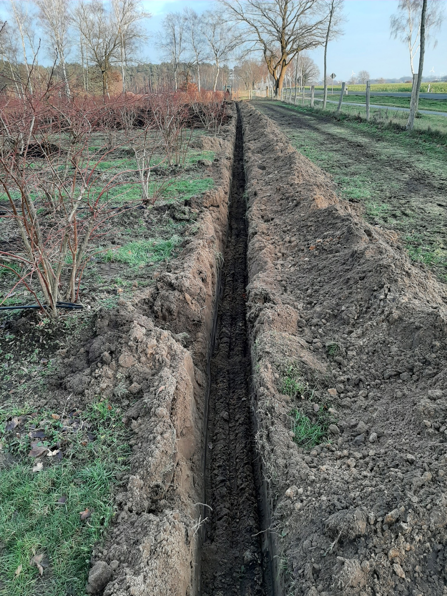 Wąski wykop w ziemi, widok z góry wzdłuż wykopu, po bokach widoczne niskie krzewy i trawa, w tle drzewa bez liści i droga.