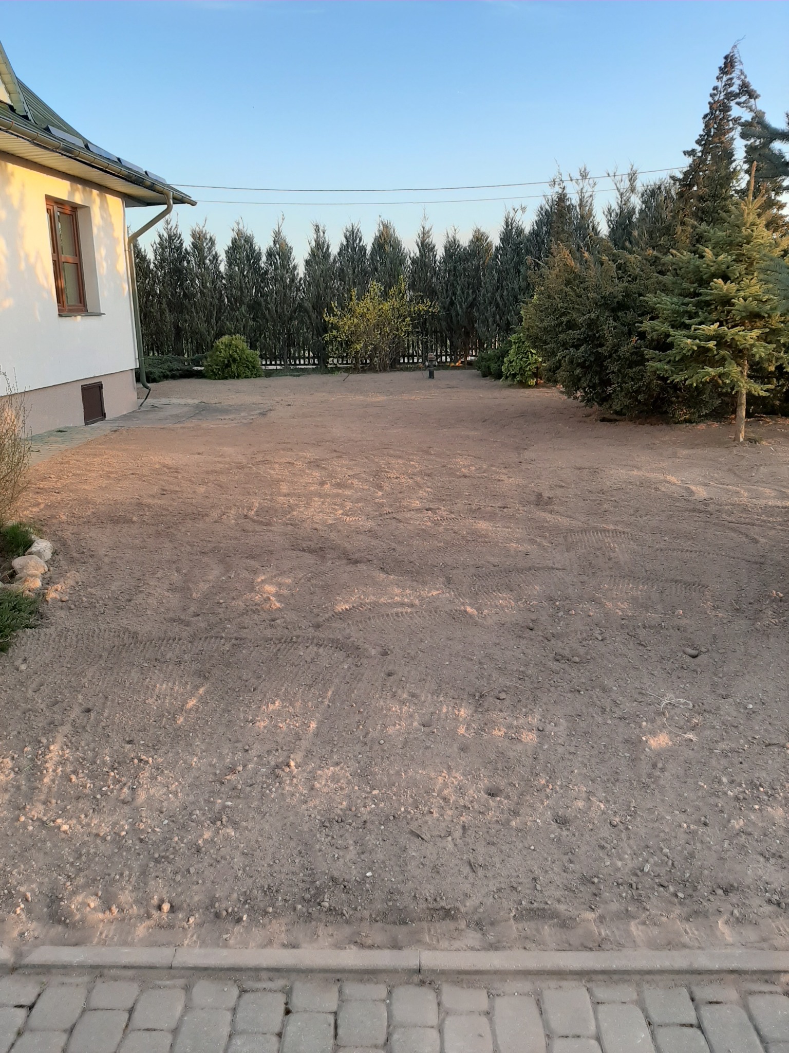 Przygotowany teren pod trawnik, widoczne ślady po maszynach, na tle domu z białymi ścianami i rządkiem drzew iglastych.