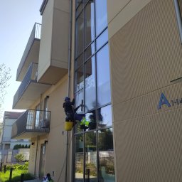 Wycinka drzew Połaniec 1