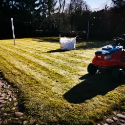 Świeżo skoszony trawnik z widocznymi pasami, czerwona kosiarka traktorek Solo by AL-KO, worek nawozu i dwa słupki na tle drzew.