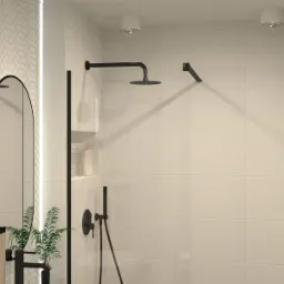 Nowoczesna łazienka z kabiną prysznicową typu walk-in, czarną armaturą, grzejnikiem drabinkowym i lustrem w kształcie łuku, uzupełniona roślinami doniczkowymi.