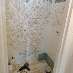 Glazurnik Kiełczów 1