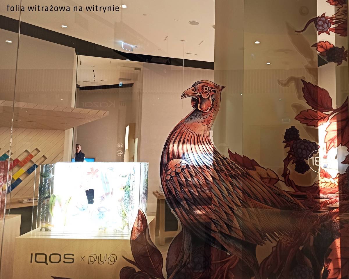 Folia witrażowa z motywem bażanta i owoców na szklanej witrynie sklepu IQOS DUO, widoczne elementy wystroju wnętrza.