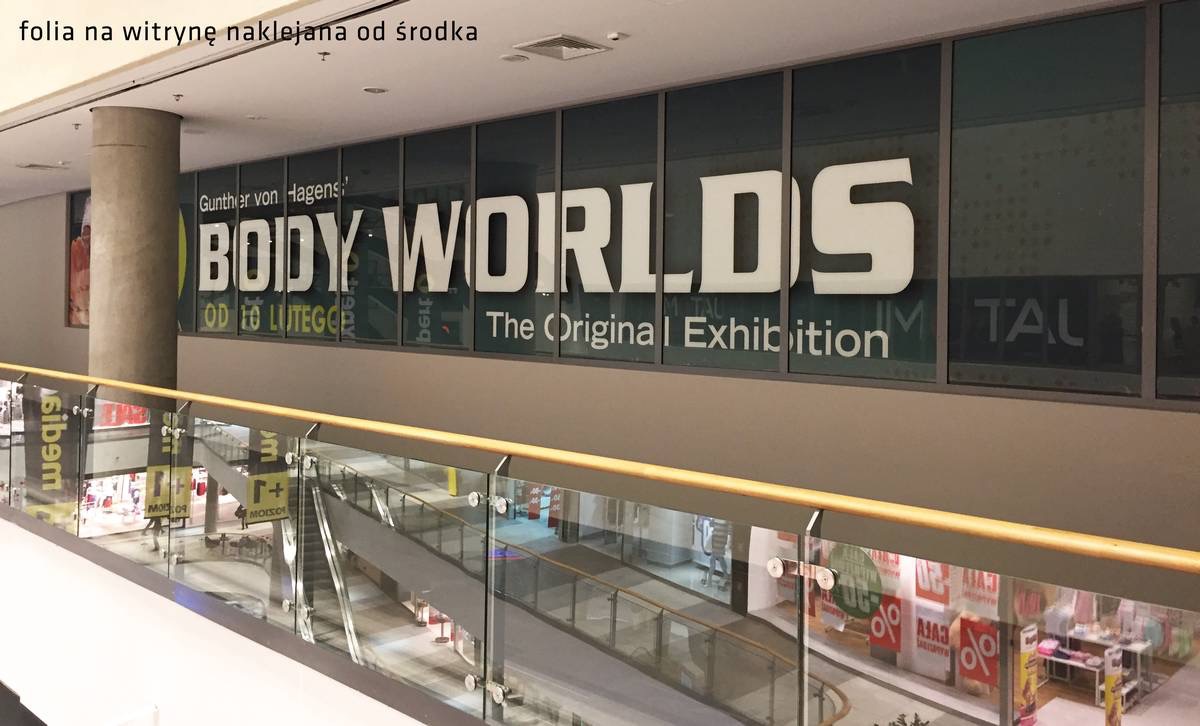 Wielkoformatowa reklama wystawy 'Body Worlds' z naklejoną folią na witrynie wewnątrz centrum handlowego, widoczna z antresoli.